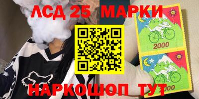 индика Обнинск
