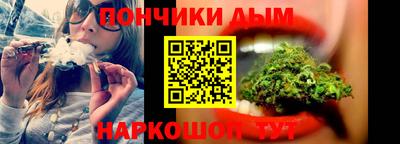 индика Обнинск