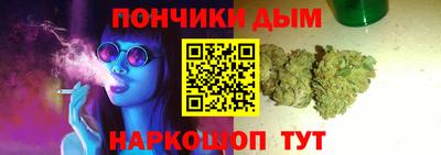 индика Обнинск