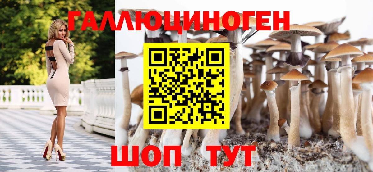 Таганрог  КОКАИН  Конопля  МЕФ кристаллы  Сколько стоит  Вейп ТГК  Вход с VPN  Меф 